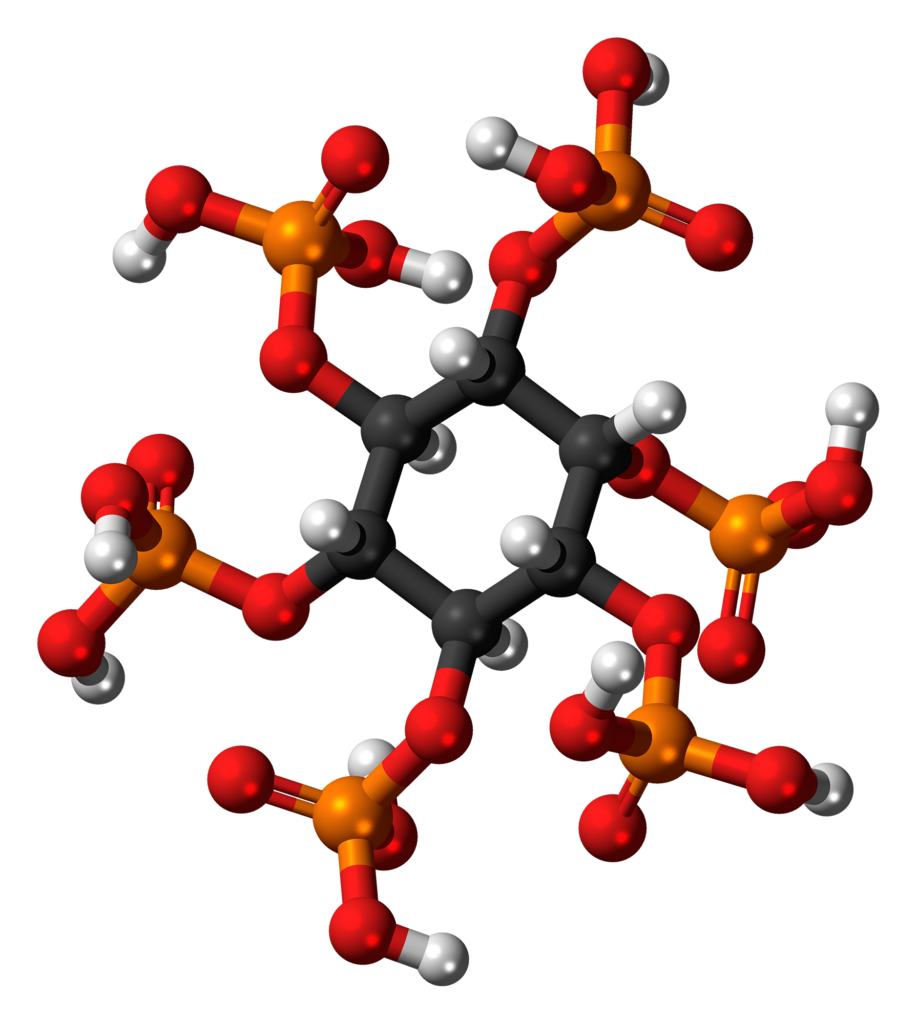 Molecular model of IP6 with six phosphate groups